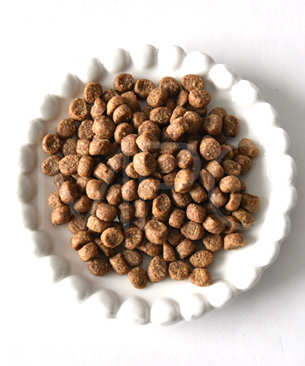 ウェルネス コア 穀物不使用 成猫用 骨抜き七面鳥