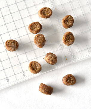 ウェルネス コア 穀物不使用 成猫用 骨抜き七面鳥