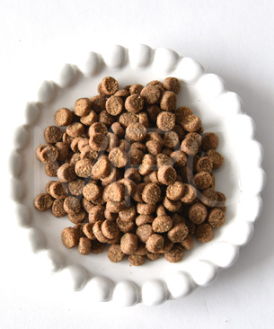 ウェルネス コア 穀物不使用 オリジナル