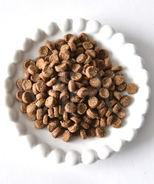 ウェルネス コア 穀物不使用 室内猫用 骨抜きチキン