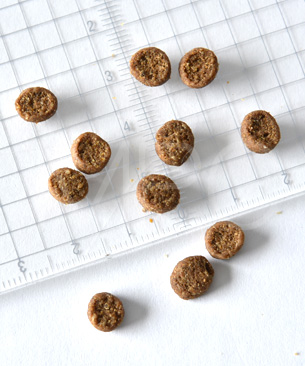 ウェルネス コア 穀物不使用 室内猫用 骨抜きチキン