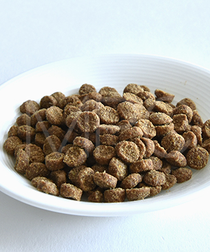 ウェルネス コア 穀物不使用 室内猫用 サーモン