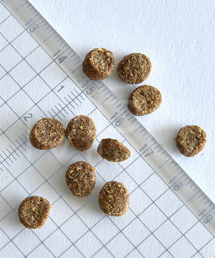 ウェルネス コア 穀物不使用 室内猫用 サーモン