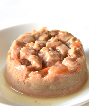 ウェルネス コア ディバインデュオ ツナパテ&角切りサーモン-79g