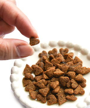 ウェルネス キトルズ サーモン クランベリー入り-56g