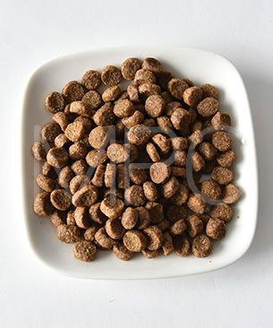 ドッグフード hime ファーストメイト ドッグフード パシフィックオーシャン