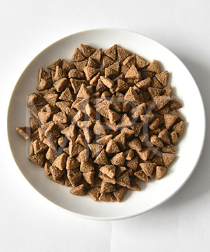 ウェルネス コア 穀物不使用 小型犬成犬用