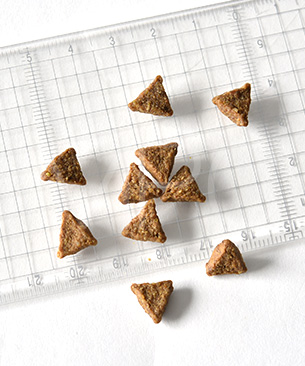 ウェルネス コア 穀物不使用 小型犬成犬用