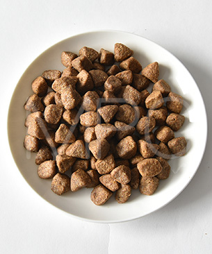 ウェルネス コア 穀物不使用 成犬用オーシャン