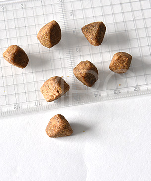 ウェルネス コア 穀物不使用 成犬用オーシャン