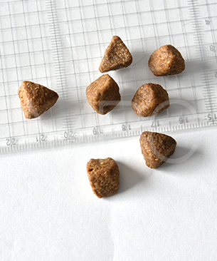 ウェルネス コア 穀物不使用 高齢犬用