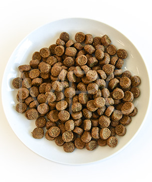 ウェルネス コア (高たんぱく質・穀物不使用) 小型犬全年齢用