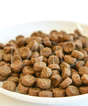 ウェルネス コア (高たんぱく質・穀物不使用) 小型犬全年齢用