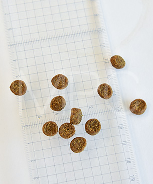 ウェルネス コア (高たんぱく質・穀物不使用) 小型犬全年齢用