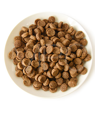 ウェルネス コア ダイジェスティブヘルス 子犬用 (離乳期～1歳) 骨抜きチキン＆玄米