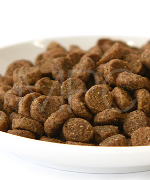 ウェルネス コア ダイジェスティブヘルス 子犬用 (離乳期～1歳) 骨抜きチキン＆玄米