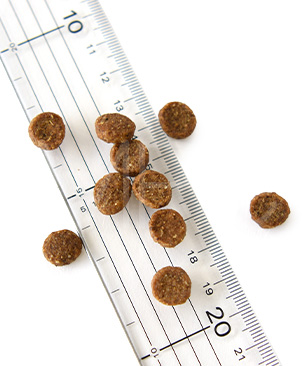 ウェルネス コア ダイジェスティブヘルス 子犬用 (離乳期～1歳) 骨抜きチキン＆玄米