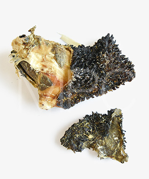 ジウィピーク オーラルヘルスケア ベニソングリーントライプ（鹿の胃）-70g