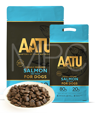 アートゥー サーモン