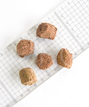 バックトゥベーシックス ムーラムーラトリーツ CAT カンガルー 20g