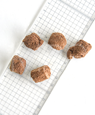 バックトゥベーシックス ムーラムーラトリーツ DOG カンガルー