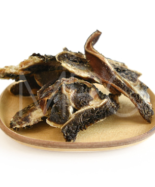 バックトゥベーシックス ハレマエ ベニソン・グリーントライプ 70g