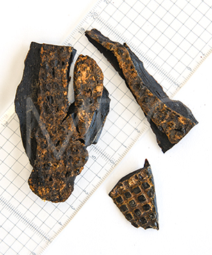 バックトゥベーシックス ハレマエ ゴート・レバー（ヤギの肝臓） 70g