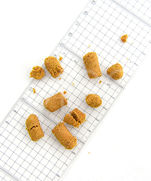 ベイリーコー DOG フリーズドライ コンプリートチキン＆サーモン