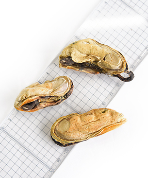 ベイリーコー DOG フリーズドライ 緑イ貝 50g