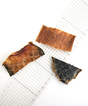 J&C プレミアムトリーツ 北海道産 牛タン皮ジャーキー 40g