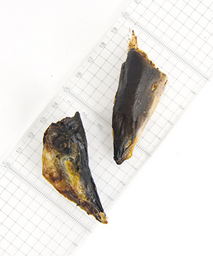 J&C プレミアムトリーツ 長野県産 うなぎ かぶと干し 30g