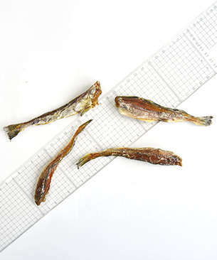 J&C 北海道産 氷下魚素干し