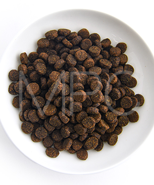 ルーシーペット CAT サーモン・パンプキン＆キヌア