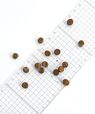 ルーシーペット CAT チキン・ブラウンライス＆パンプキン