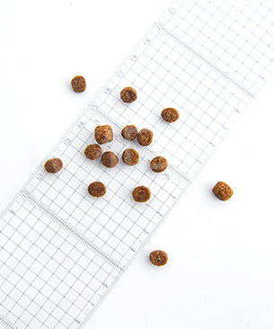 ルーシーペット CAT スーパーフード ウルトラキャット