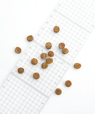 ルーシーペット CAT スーパーフード ウルトラリデュースカロリーキャット