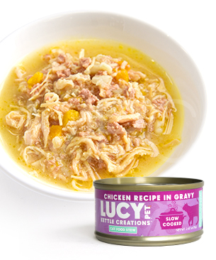 ルーシーペット CAT キャットシチュー チキン 70g