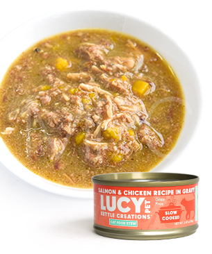 ルーシーペット CAT キャットシチュー サーモン＆チキン 70g