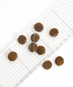 ルーシーペット DOG ダック・パンプキン＆キヌア