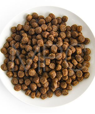 ルーシーペット DOG ダック・パンプキン＆キヌア 小粒