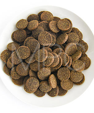 ルーシーペット DOG チキン・ブラウンライス＆パンプキン