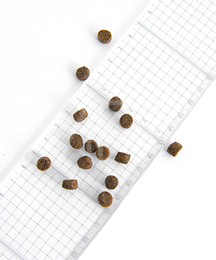 ルーシーペット DOG チキン・ブラウンライス＆パンプキン 小粒