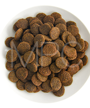 ルーシーペット DOG サーモン・パンプキン＆キヌア