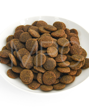 ルーシーペット DOG サーモン・パンプキン＆キヌア