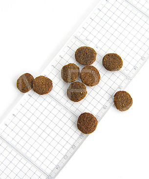 ルーシーペット DOG サーモン・パンプキン＆キヌア