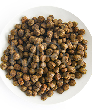 ルーシーペット DOG サーモン・パンプキン＆キヌア 小粒