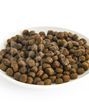 ルーシーペット DOG サーモン・パンプキン＆キヌア 小粒