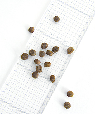 ルーシーペット DOG サーモン・パンプキン＆キヌア 小粒