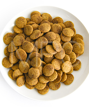 ルーシーペット DOG ベジタリアンフォーミュラ