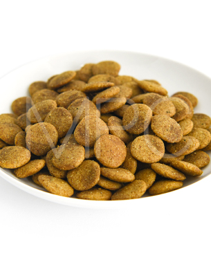 ルーシーペット DOG ベジタリアンフォーミュラ